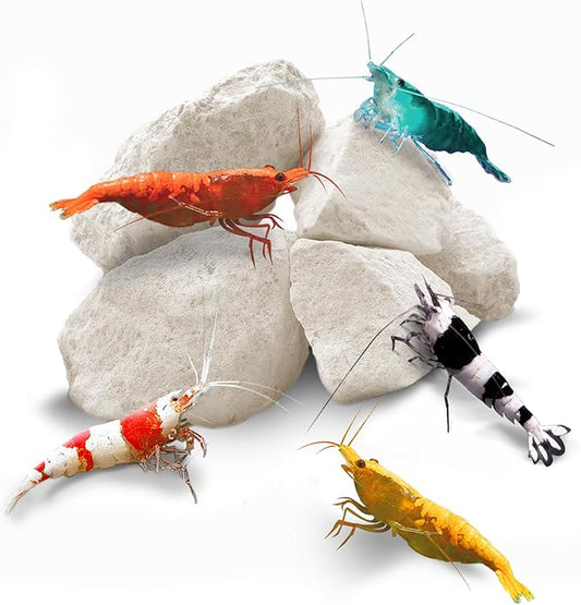 SunGrow Shrimp Rocks, Calcium, Magnesium Rocks for Crayfish, Hermit Crab, Snails, Crustacean Care, Aquarium Decor for Crystal Red, Amano and Ghost Shrimps, Nano Tank Accessories, Fish Tank Supplies