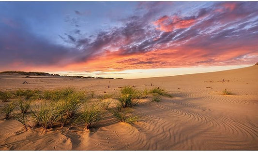 Sunset Desert Reptile Tank Background Majestic Desert Landscape Terrarium Background Desert Sand Dunes Reptile Habitat Background Sunrise Gobi Barren Thorns Aquarium Fish Tank Background 60x24in