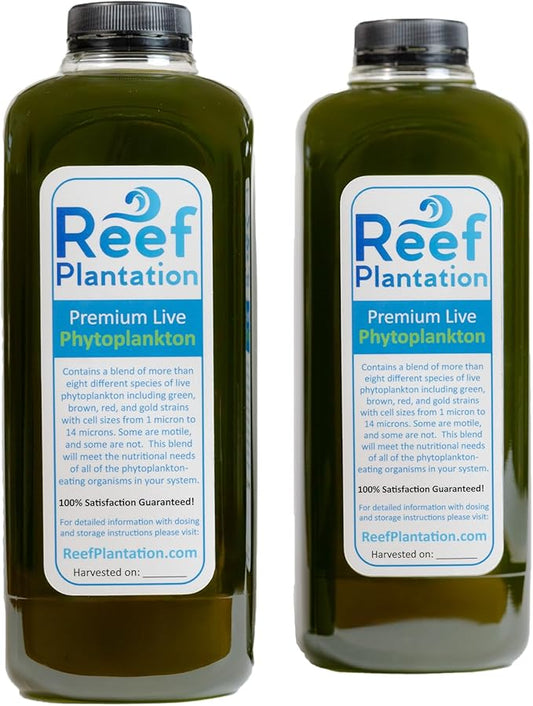 64oz (2 Quarts, 1/2 Gallon) Premium Live Phytoplankton Blend - Food for Corals & Copepods in Reef/Saltwater Aquariums - Over Eight Different Strains of Live Phytoplankton