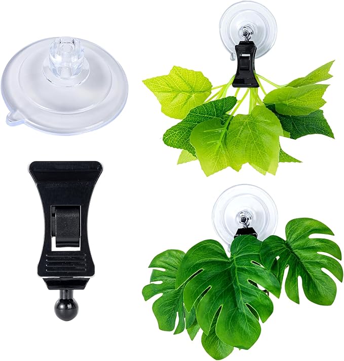SLSON Fishes Veggie Seaweed Plant Suction Cup Clip Feeding Tool Feed Holder Aquarium Accessories for Fish Tank Fish Feeder Clips (6Pack Black)