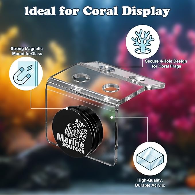 Balacoo Magnetic Coral Frag Holder, 4 Holes Acrylic Aquarium Coral Frag Rack with Strong Magnetic Suction Cup for Fish Tank Aquarium Plant Holder