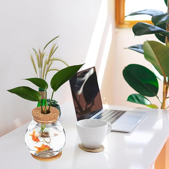 HANABASS Desktop Fish Bowl Hydroponic Terrarium Small Glass Betta Fish Tank with Wood Lid and Bamboo Stand for Home Office Decoration