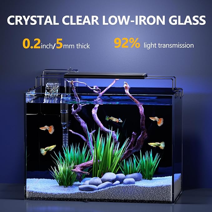 5 Gallon Fish Tank Aquarium Kit with HOB Filter, LED Light with Timer, Lid, Siphon Vacuum Cleaner, Self Cleaning Glass Rimless Betta Tank