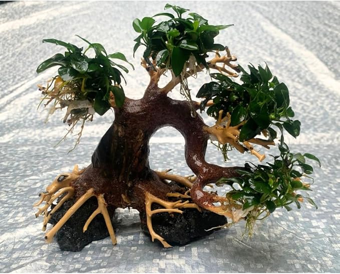 Bonsai Driftwood Aquarium Tree (8in H x 6in L), Handcrafted Fish Tank Decoration | Easy to Install Driftwood Bonsai for Fish Tank | Decor Aquascape Wood (Bonsai Tree On Rocks)