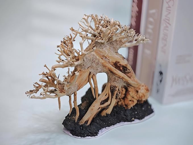 Bonsai Driftwood Aquarium Tree on Lava Rocks for Aquarium Decor Fish Tank Decorations (8in H x 10in L x 5in W) Handcrafted Natural Fish Tank Decor, Balances pH,Tds