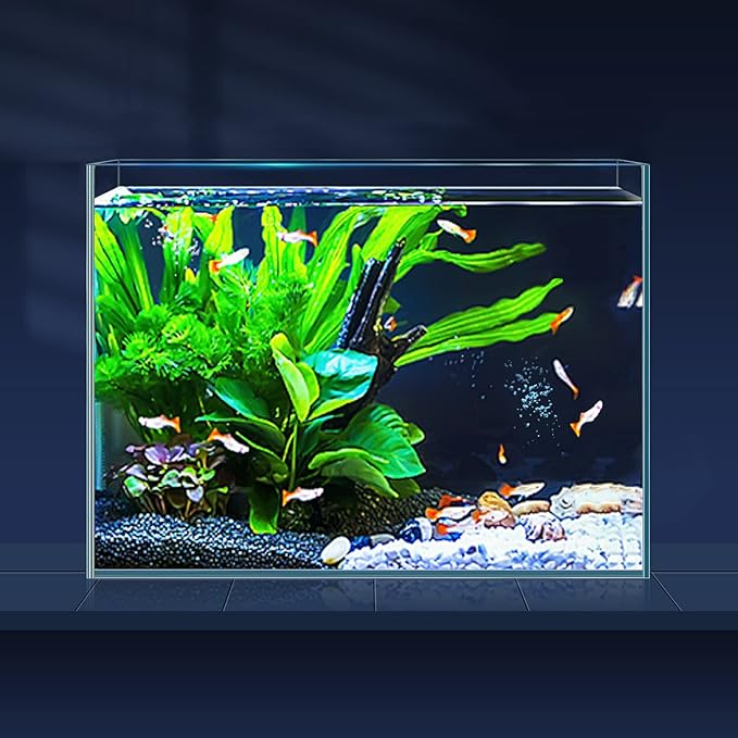 LAQUAL 3 Gallon Ultra Clear Glass Fish Tank and 5 Gallon Aquarium Filter, Rimless Low Iron Aquarium for Betta/Nano/Goldfish/Snail/Shrimp