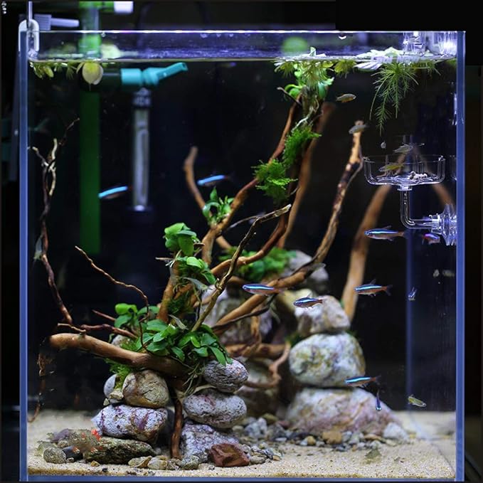 Aquarium Shrimp/Small Fish Feeding Dish Feeder Dish, Acrylic Material, Mini Size (Sakura Shaped)