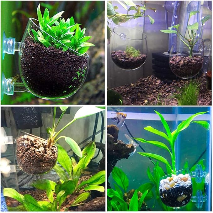 Carpetsma Aquarium Plant Pot, Glass Fish Tank Plants Holder - Aquarium Planter with 2 Suction Cups for Fish Tank Decor - 1 Pack