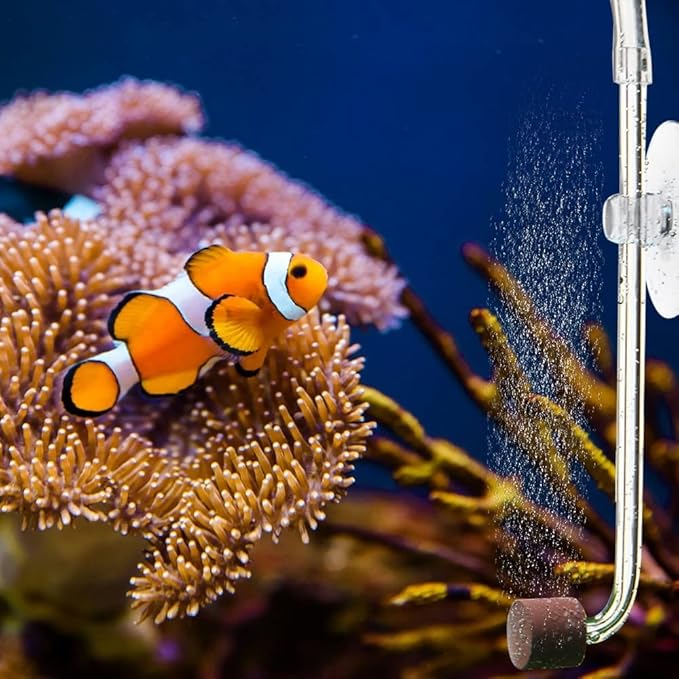 DONGKER Aquarium CO2 Diffuser,Acrylic Fish Tank CO2 Atomizer with Suction Cups for 4mm I.D. CO2 Air Tube(Up to 30cm Fish Tank)