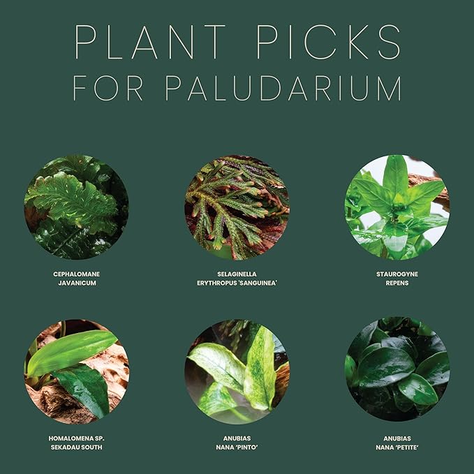 Ultum Nature Systems Rimless Paludarium - Ultra Clear Low Iron Glass with Mitired Edges, Bulkheads and Leveling Mat Inluded (5E)