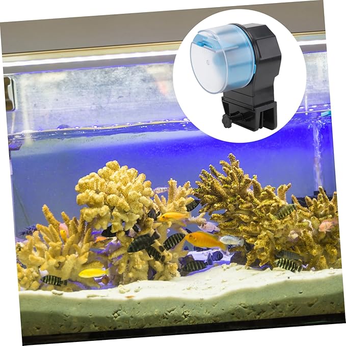 Totority 1set Automatic Intelligent Fish Feeder for Aquariums and Turtles Daily Feeding Capacity Safe for Fish Easy to Clean and Operate