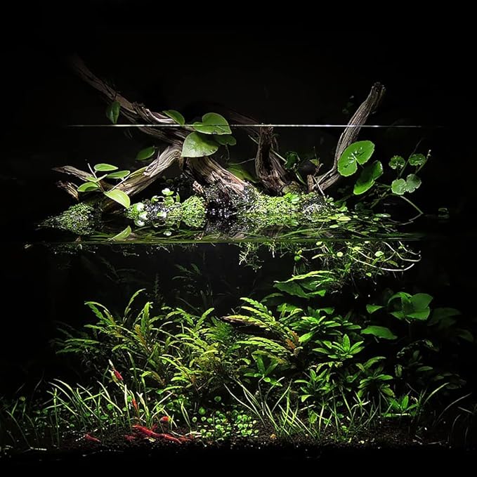 Ultum Nature Systems Controsoil - Freshwater Aqua Soil Substrate for Fish, Shrimp, Live Plant Propagation and Aquascaping - 6.8pH Low Ammonia, Volcanic Ash - Black, Normal (10 Liter)