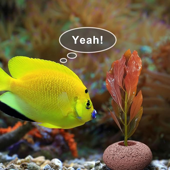 Stone Plant Weights for Aquarium Natural Rock Decorative 6 Pcs Fish Tank Landscape Plant Weights