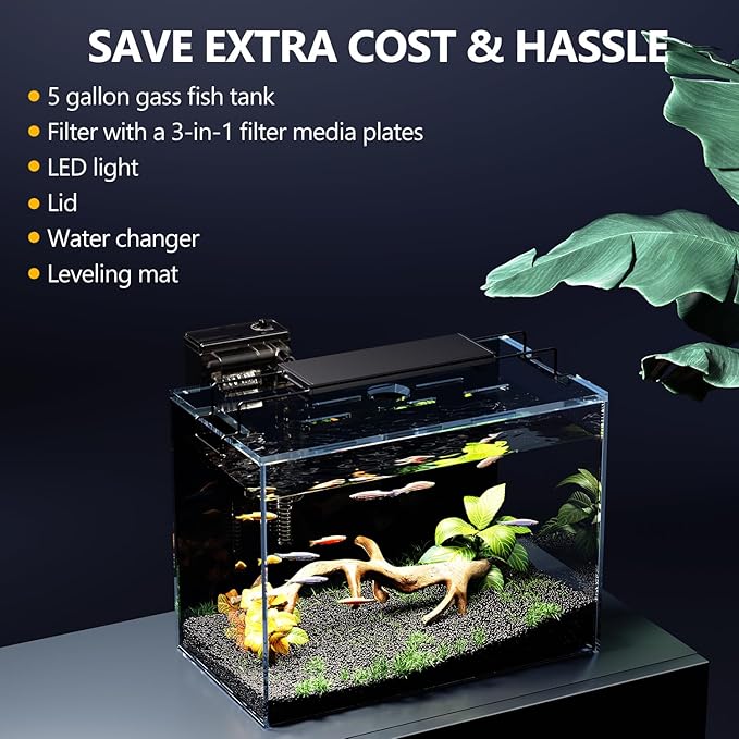 5 Gallon Fish Tank Aquarium Kit with HOB Filter, LED Light with Timer, Lid, Siphon Vacuum Cleaner, Self Cleaning Glass Rimless Betta Tank