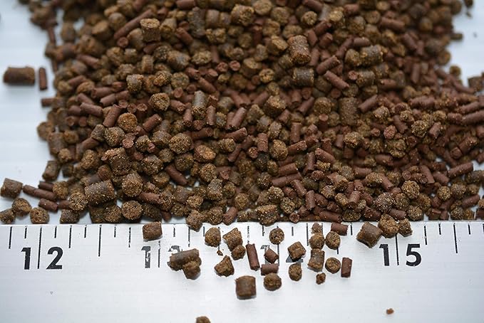 Gourmet Axolotl Soft Food Pellet Mix 3.2mm & 4.0mm & MINI Hard BLACKWORM Sticks - A118 (BLACKWORM, 32oz - 2 LBS.)