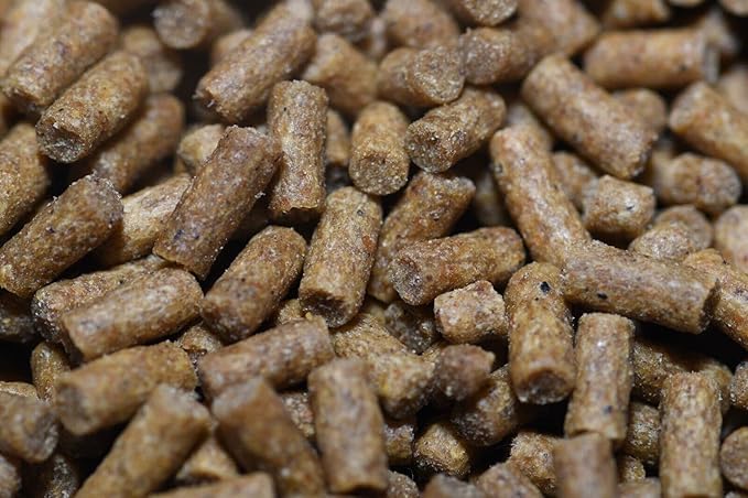 Wpc-Co. Aquarium Shrimp Food - Sinking Pellets for Aquatic Shrimp, Snail, Bottom Feeders - Complete Nutrition for Tropical Shrimps and Other Invertebrates