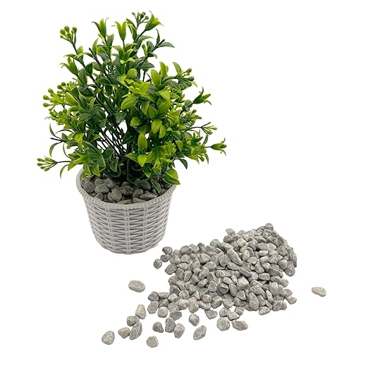 Natural Polished Pebbles, Decorative Garden Rocks, 1LB Cactus and Succulent Plants Pebbles, Grey River Rocks for Potted Plants, Vases, Aquariums, Terrarium and Outdoor Gardening(0.24-0.35 inch)