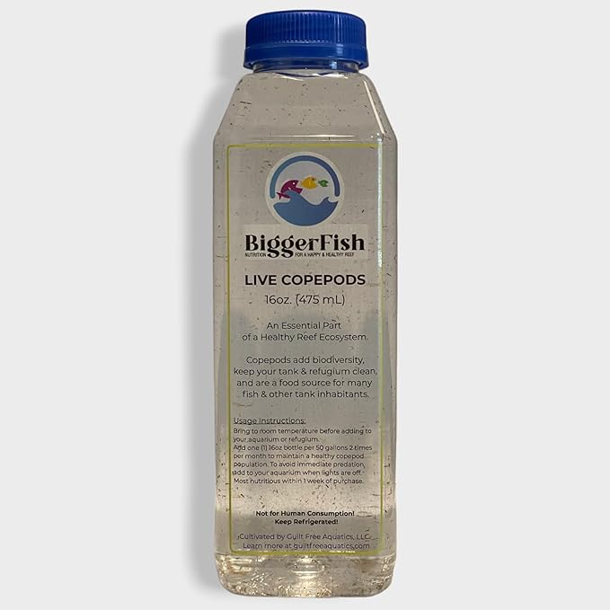 BiggerFish Live Copepods for Fish and Marine Invertebrates, 16oz, Provides Vital Biodiversity and Nutrition for a Healthy Saltwater Reef Aquarium Ecosystem