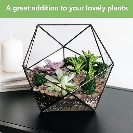 Pulovin 2.5 lbs Drainage Rocks for Potted Plants, 1/5 Inch Small Pebbles for Indoor Plants, Decorative Gravel for Vases, Bamboo, Succulent, Terrarium, Crafts, Cactus