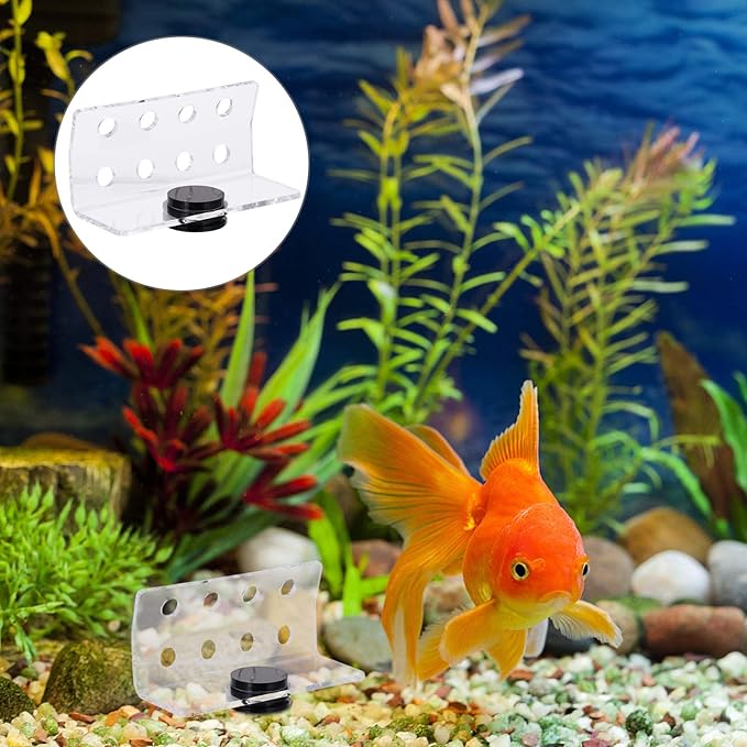balacoo Magnetic Coral Rack Acrylic 8 Hole Coral Frag Holder Aquarium Fish Tank Coral Stand Support for Aquarium Fish Tank Supply