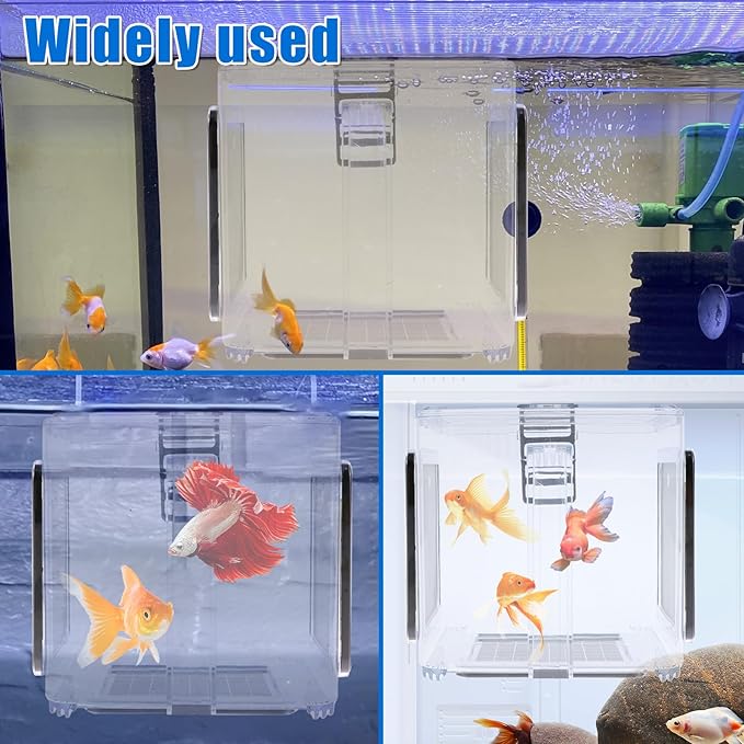 Fish Breeding Box 15x15x15 cm Acrylic Fish Isolation Hatchery Tank Fish Separator Hanging Fish Incubator Box with Detachable Mesh Lid Clear Fish Isolation Box for Baby Fish Newborn Fish Shrimp