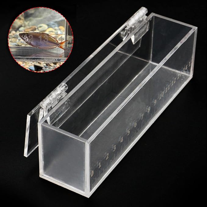 Fishing Fish Viewing Box Acrylic Clear Micro Landscape Fish Tank with Lid Holder Storage Box Photo Box Hatching Boxes with Scale