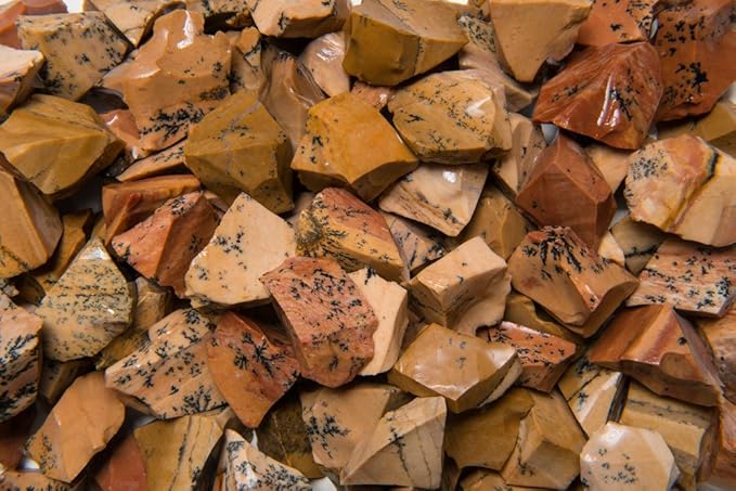 Fantasia Materials: 3 lbs Dendrite Tan Jasper Rough Stones from India