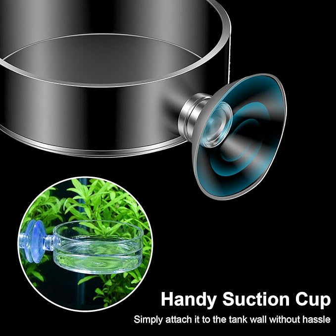 2PCS Shrimp Feeding Dish, Shrimp Feeder Dish with Suction Cups, Clear Fish Tank Feeder Bowl, Acrylic Fish Tank Feeding Bowl for Freshwater and Saltwater Tanks (60mm)