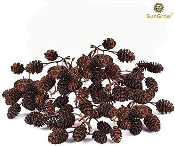 SunGrow Alder Cones for Shrimps, Water Conditioner for Freshwater Shrimp Tanks, Aquarium Decorations & Accessories (50 Pcs)