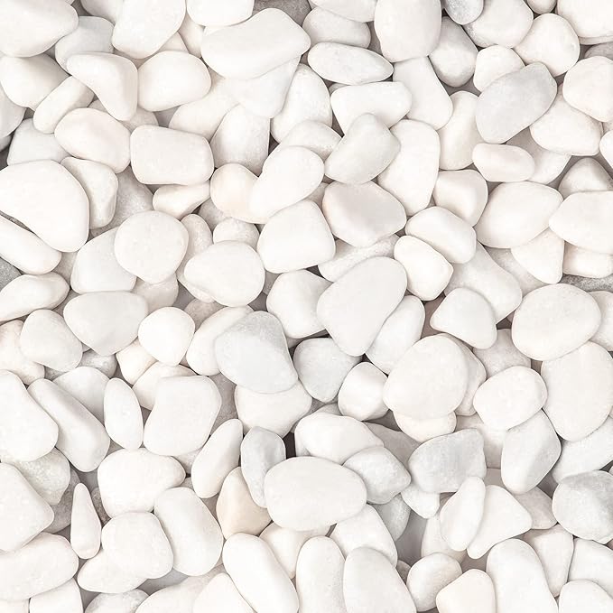 5lbs White Natural River Rocks, Polished Pebbles for Plants Garden, 0.3-0.8 inch Decorative White Stones, Ideal for Fish Tank, Vases, Crafting, Home Decor and Garden Landscaping Rocks,White
