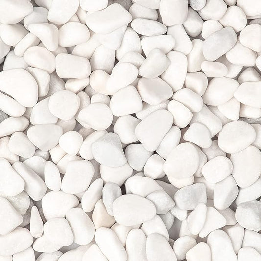 11lbs White Natural River Rocks, Polished Pebbles for Plants Garden, 0.3-0.8 inch Decorative White Stones, Ideal for Fish Tank, Vases, Crafting, Home Decor and Garden Landscaping Rocks,White