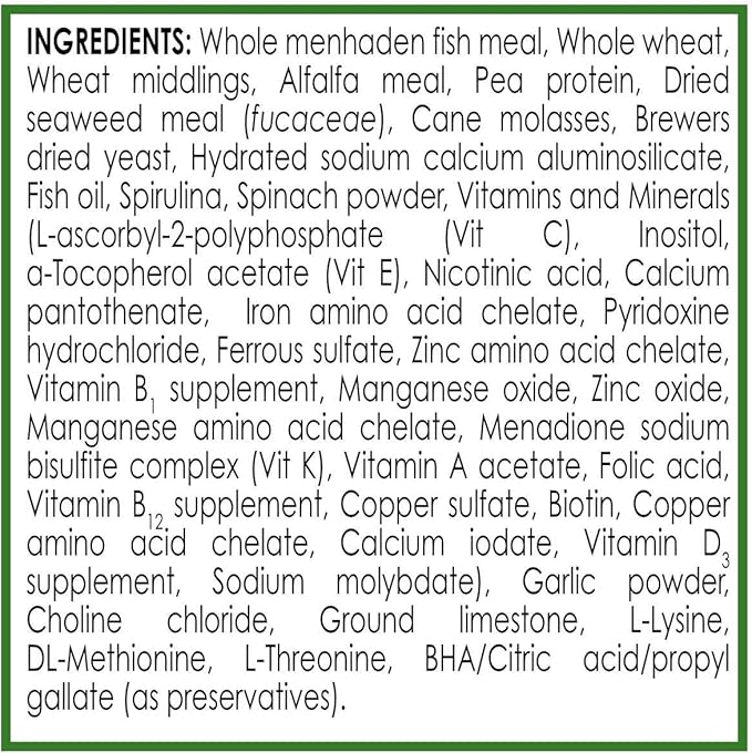 API ALGAE EATER WAFERS Algae Wafer Fish Food 3.7-Ounce Container