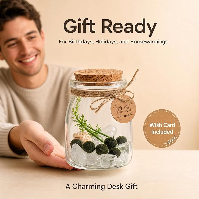 Moss Balls Glass Terrarium Kit - 5 Decorative Green Balls with Glass Jar, White Crystal, DIYAquarium and Desk Decor, Easy-Care Gift for Home and Office