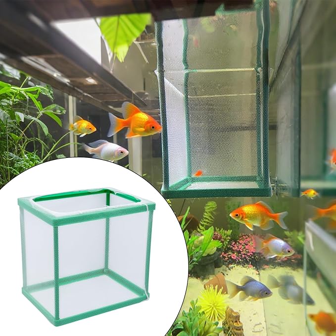 MY MIRONEY 2PCS 6.69" x 5.04" x 6.38" Fish Tank Breeder Green Nylon Fish Incubator Mesh Box Aquarium Fish Fry Hatchery Breeder with Suction Cups