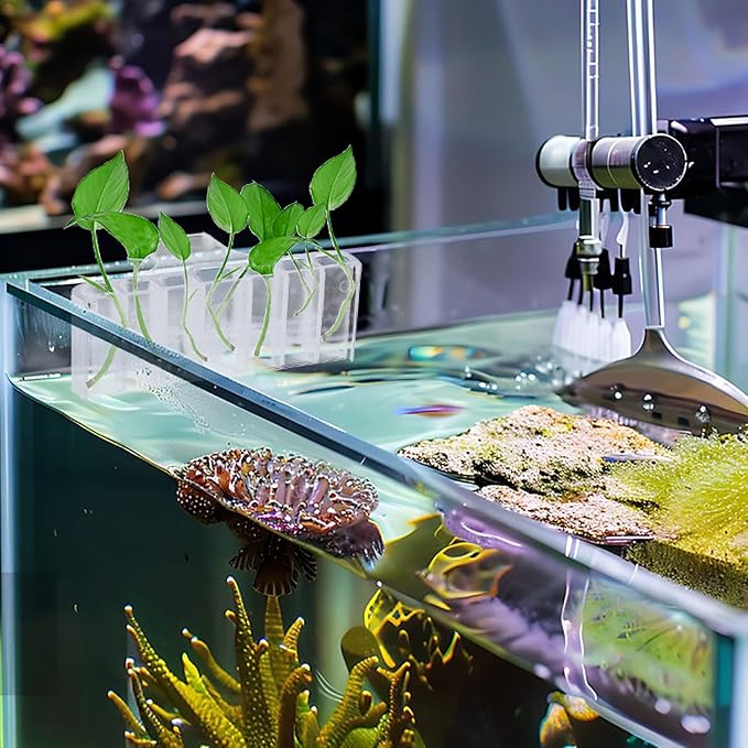 2PC 7 Holes Upgraded Aquarium Plant Holder, Aquatic Plants Cup for Tank, Fish Tank Plant Holder with Long Hook, Aquarium Feeder for Aquascape Decorations on Top of Tank (Transparent-2PC)