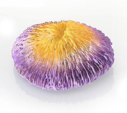 Resin Coral Plant Decorations Artificial Ornament Decor Montipora Coral Reef Decoration for Fish Tank Aquarium Landscape, Yellow Purple, 1 Pcs GH0375