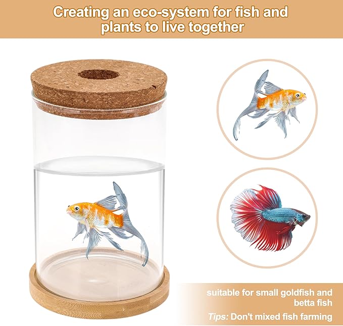 Fish Tank Desktop Hydroponic Propagation, Fish Bowl Indoor Aquatic Garden Set for Home, Office, or Dorm Decor, 3.94"x5.91", Clear, 1 Set
