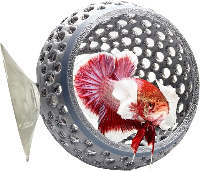 CTWPets Natural Betta Bulb Hide | Betta Rest Fish Tank Ornament | Aquarium Cave with Suction Cup for Small Fish Tank, Betta Habitat, Shrimp Hideout, Aquatic Decor (Silver)