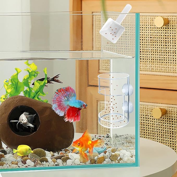 Suction Cup Fish Food Feeder for Aquarium, Acrylic Automatic Fish Feeding Ring with 1 Spoon, Round Transparent Aquarium Feeder Bird Shrimp Feeding Ring (Round)