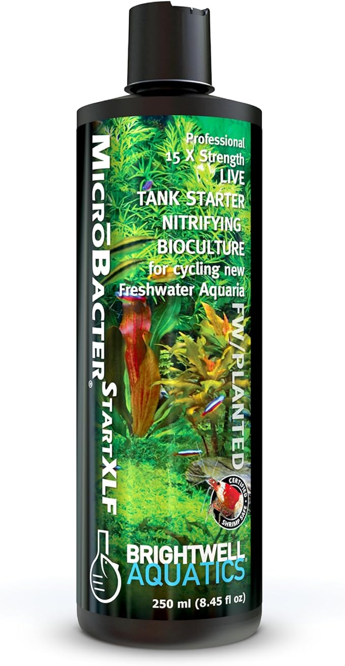 Brightwell Aquatics MicroBacter Start XLF - Concentrated Freshwater Nitrifying Bacteria - Quick Start Fish Tank Starter, Lift Microbe Levels & Water Filtering - Aquarium Water Treatments, 8.45 fl oz