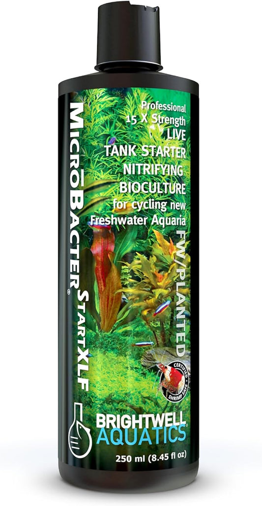 Brightwell Aquatics MicroBacter Start XLF - Concentrated Freshwater Nitrifying Bacteria - Quick Start Fish Tank Starter, Lift Microbe Levels & Water Filtering - Aquarium Water Treatments, 8.45 fl oz
