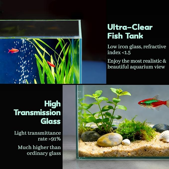LAQUAL 1 Gallon Fish Tank Starter Kit with Fish Net, 1 Water Changer Siphons & 2 Cleaning Cloth, Crystal Clear Glass Fish Tank, Small Fish Tank/Aquarium for Betta & Goldfish, Nice Home Décor