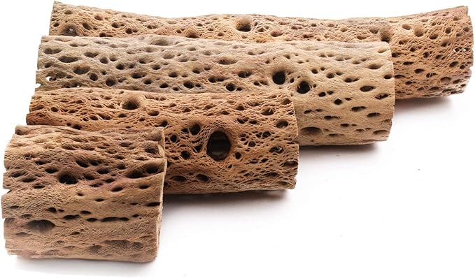 3, 6, 9, 12 Inch All Natural Teddy Bear Cholla Wood Extra Hollow Untreated Organic Aquarium Driftwood Decoration Chew Toy Shrimp Crab Cichlid Nano Tank Birds 1 or 5 Pieces (1 Piece, 9 inch)