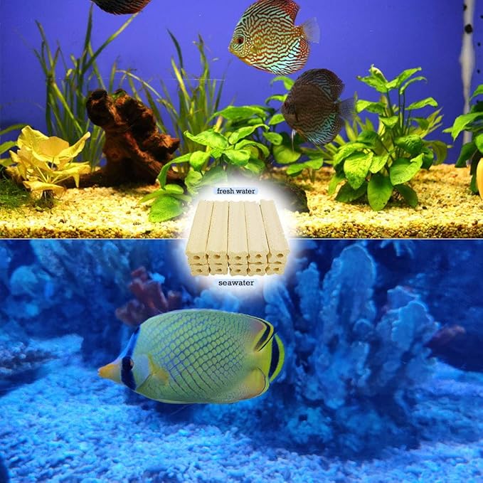 PINVNBY 20 Pcs 6.2-Inch Large Aquarium Filter Media Fish Tank Ceramic Media for Sump Canister Filter,Bakki Showers Filter,Trickle Filter,Aquaculture and Koi Ponds