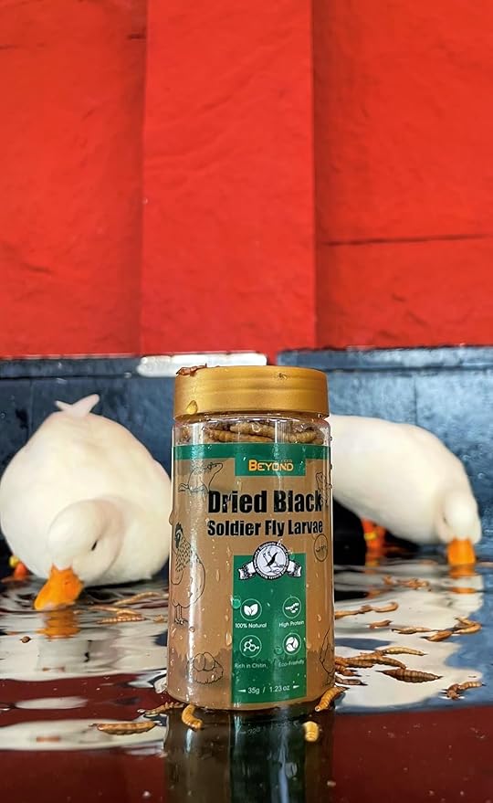 BeyondFeed™ Premium Dried Black Soldier Fly Larvae - High Calcium Supplement for Stronger Eggshells & Molting Recovery - Whole, Large Grubs (Superior to Mealworms) for Chickens, Ducks & Reptiles