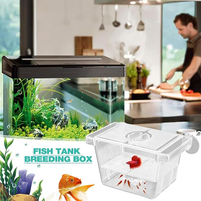 Generic Fish Breeding Tanks - Acrylic Hatchery Incubator Tank, Fish Tank Divider Acclimation Box | Floating Design Baby Fish Tank for Baby Fishes, Shrimp, Clownfish, Guppy, Aggressive Fishes