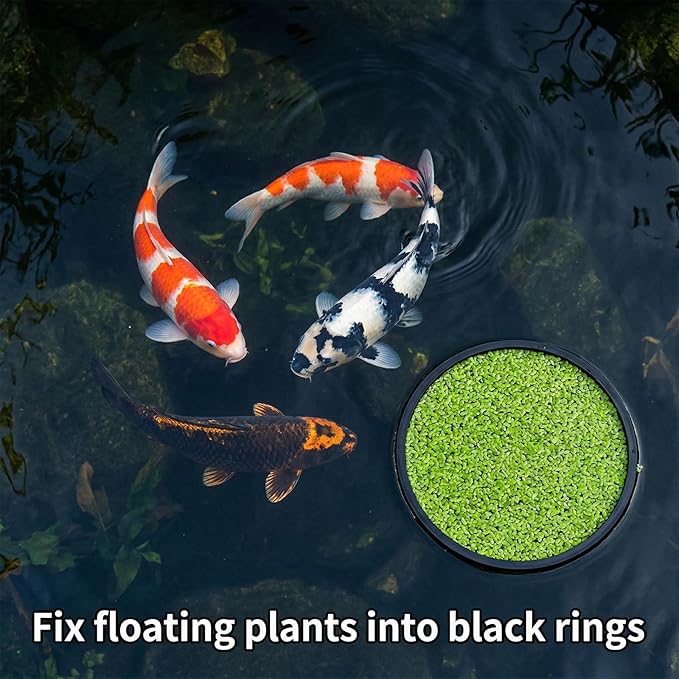 JJUNW 10 Pcs Fish Feeding Rings Set, Floating Aquarium Plant Corral, Round & Square Fish Feeder Rings Fish Tank Aquarium Accessories for Betta (Black)