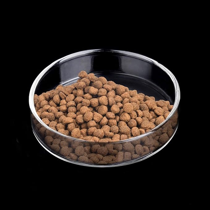 WEAVERBIRD 80mm Aquarium Shrimp Feeder Dish Glass Fish Tank Feeding Bowls Round Clear Dishes Tray