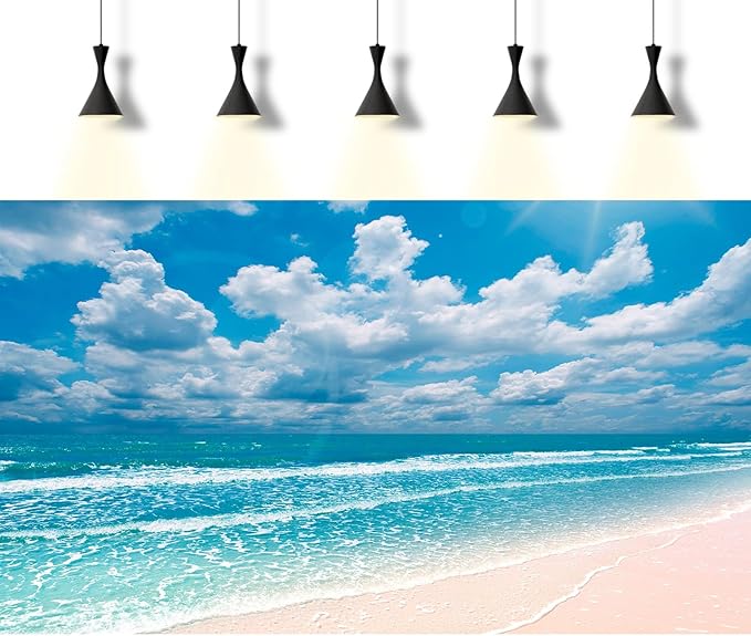 Beach Aquarium Background Sunset Peaceful Beach Fish Tank Background Ocean Seascape Blue Sky Terrarium Backgrounds Amazing Seacoast Palm Trees Ocean Waves Shore Reptile Tank Backgrounds 30x18in
