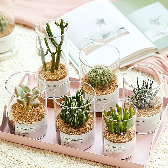 Avalution 2mm-4mm Coarse Sand Stone Plant Decorative Gravel Succulents, Cactus Bonsai Gravel, Terrarium Filling DIY Gardening Indoor & Outdoor Garden Bonsai Decoration-18LB